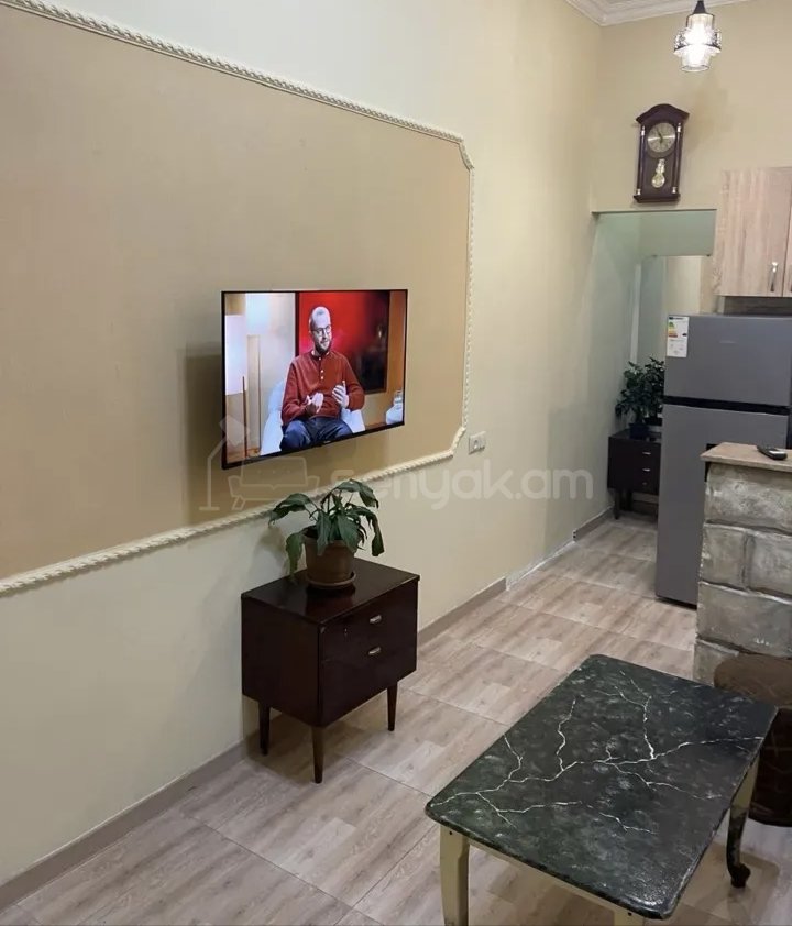 2 Սենյականոց Բնակարան Քարե Շենքում, 46քմ, 1/1 հարկ, Կապիտալ Վերանորոգված, Կահավորված