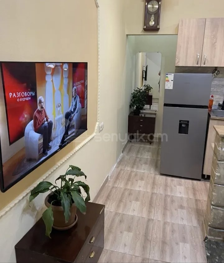 2 Սենյականոց Բնակարան Քարե Շենքում, 46քմ, 1/1 հարկ, Կապիտալ Վերանորոգված, Կահավորված