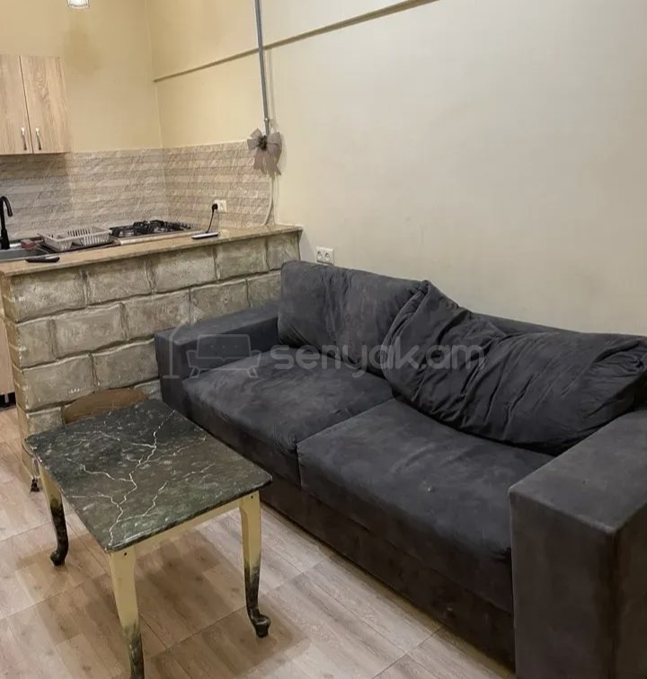 2 Սենյականոց Բնակարան Քարե Շենքում, 46քմ, 1/1 հարկ, Կապիտալ Վերանորոգված, Կահավորված