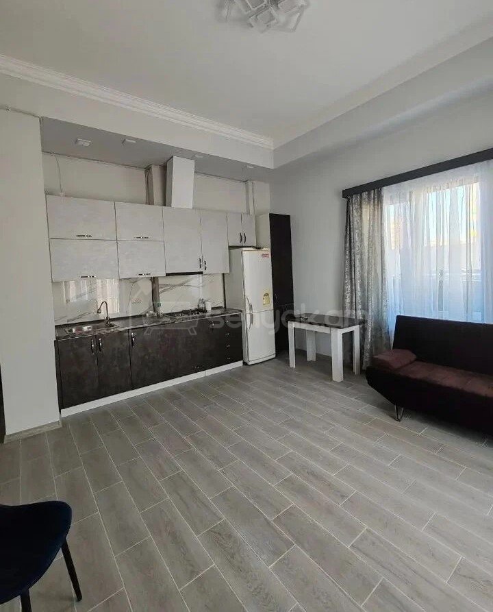 2 Սենյականոց Բնակարան Նորակառույցում, 46քմ, 1/10 հարկ, Կապիտալ Վերանորոգված