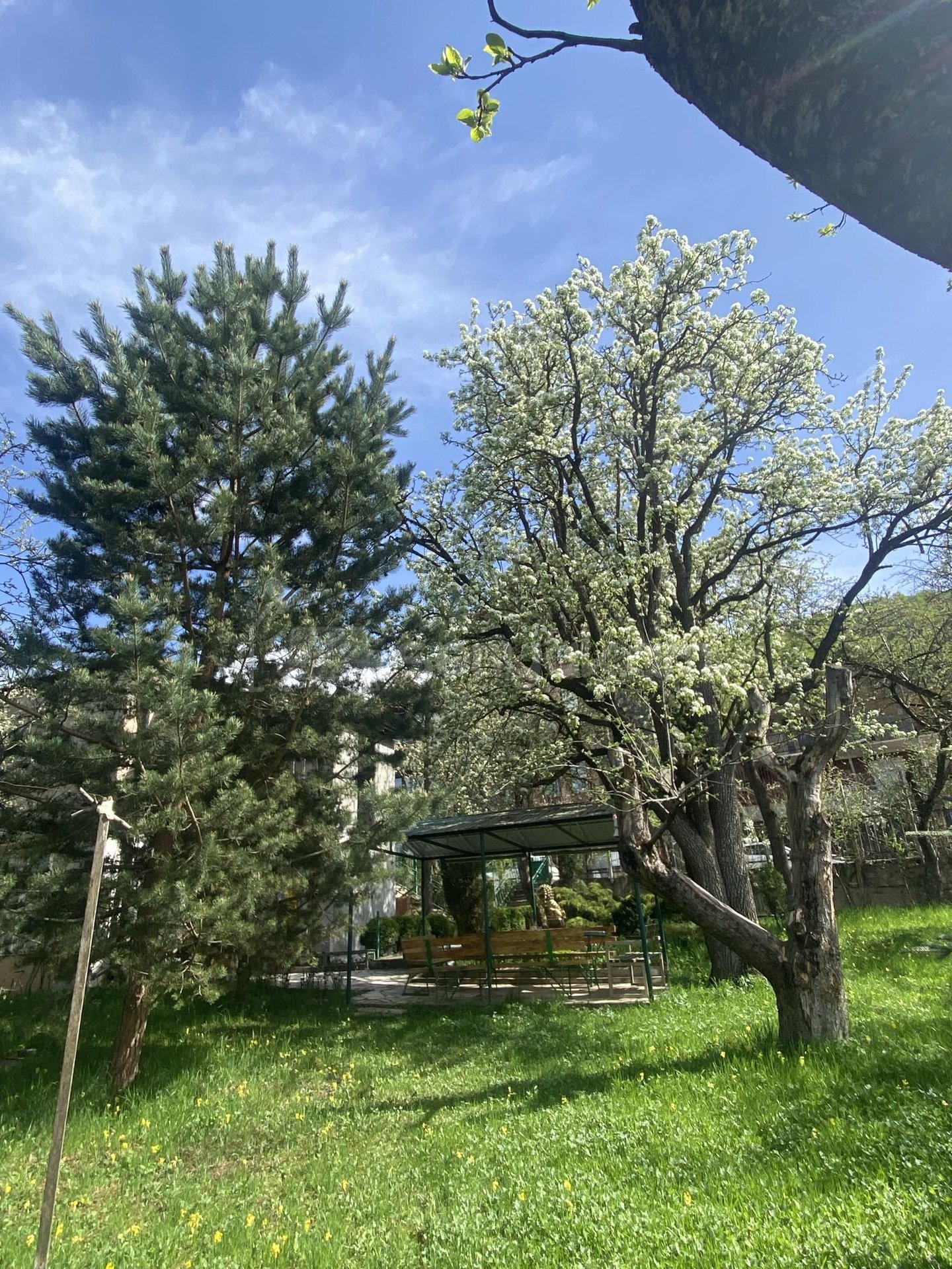 5 Սենյականոց Սեփական Տուն, 224քմ, Կապիտալ Վերանորոգված