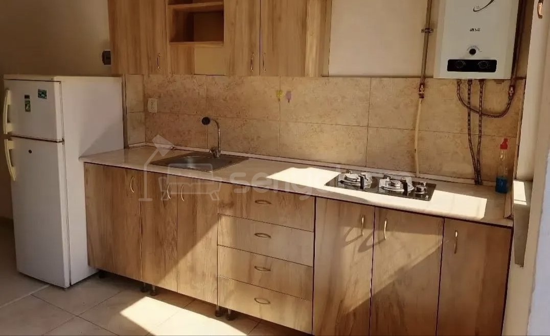 2 Սենյականոց Բնակարան Քարե Շենքում, 48քմ, 1/1 հարկ, Կապիտալ Վերանորոգված, Կահավորված