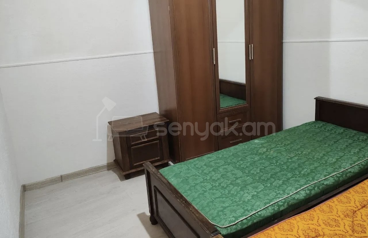2 Սենյականոց Բնակարան Քարե Շենքում, 48քմ, 1/1 հարկ, Կապիտալ Վերանորոգված, Կահավորված