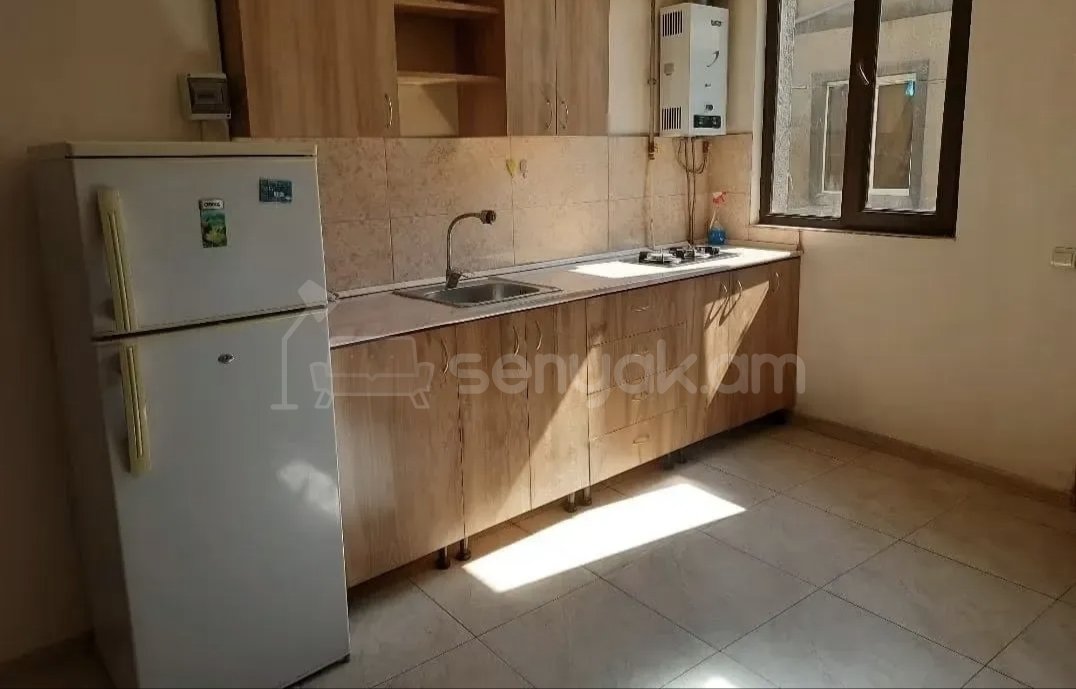 2 Սենյականոց Բնակարան Քարե Շենքում, 48քմ, 1/1 հարկ, Կապիտալ Վերանորոգված, Կահավորված