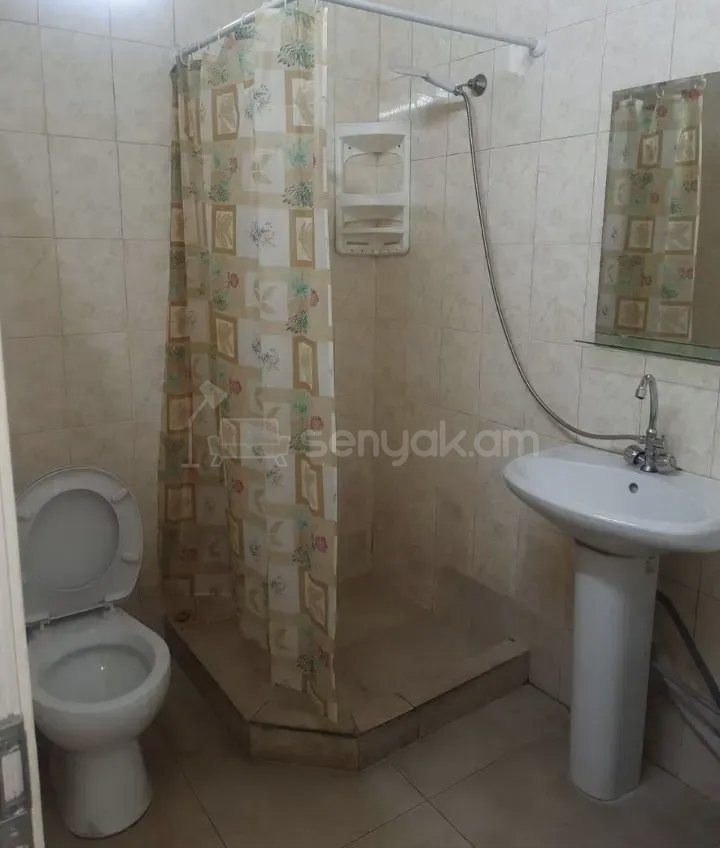 2 Սենյականոց Բնակարան Քարե Շենքում, 48քմ, 1/1 հարկ, Կապիտալ Վերանորոգված, Կահավորված