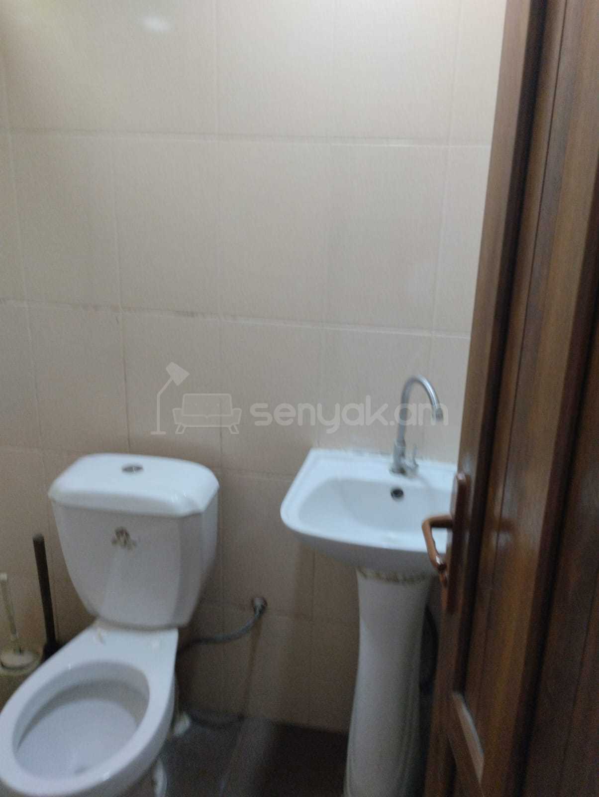 1 Սենյականոց Սեփական Տուն, 43քմ, Կապիտալ Վերանորոգված, Կահավորված