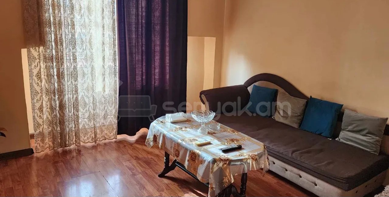 1 Սենյականոց Բնակարան Քարե Շենքում, 30քմ, 2/5 հարկ, Կապիտալ Վերանորոգված, Կահավորված