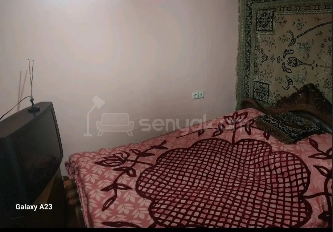 3 Սենյականոց Բնակարան Քարե Շենքում, 53քմ, 3/9 հարկ, Կապիտալ Վերանորոգված, Կահավորված