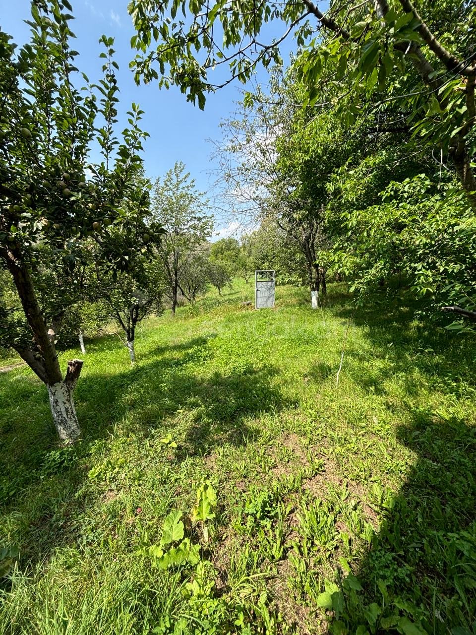 6 Սենյականոց Սեփական Տուն, 380քմ, Կապիտալ Վերանորոգված
