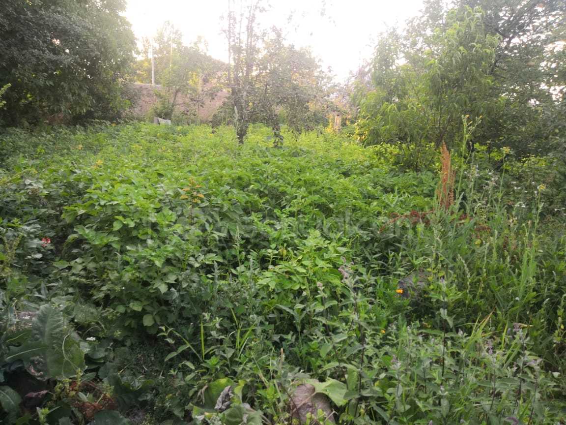 Հողատարածք, 1400քմ, Էլեկտրականությամբ, Պարսպապատ