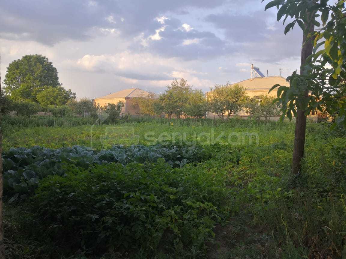 Հողատարածք, 1400քմ, Էլեկտրականությամբ, Պարսպապատ