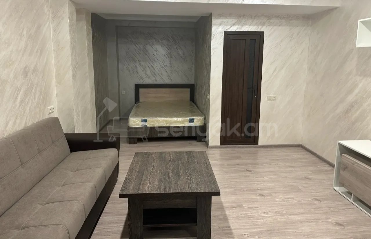1 Սենյականոց Բնակարան Քարե Շենքում, 42քմ, 1/1 հարկ, Նորմալ Վիճակում, Կահավորված
