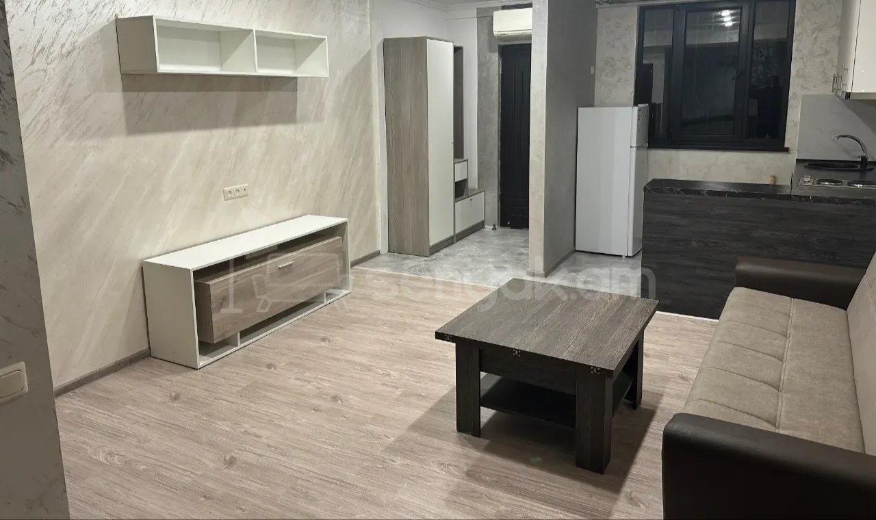 1 Սենյականոց Բնակարան Քարե Շենքում, 42քմ, 1/1 հարկ, Նորմալ Վիճակում, Կահավորված