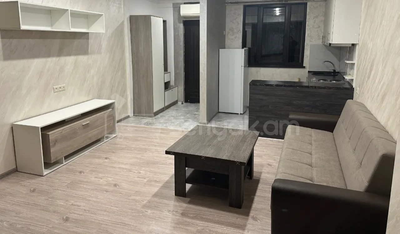 1 Սենյականոց Բնակարան Քարե Շենքում, 42քմ, 1/1 հարկ, Նորմալ Վիճակում, Կահավորված