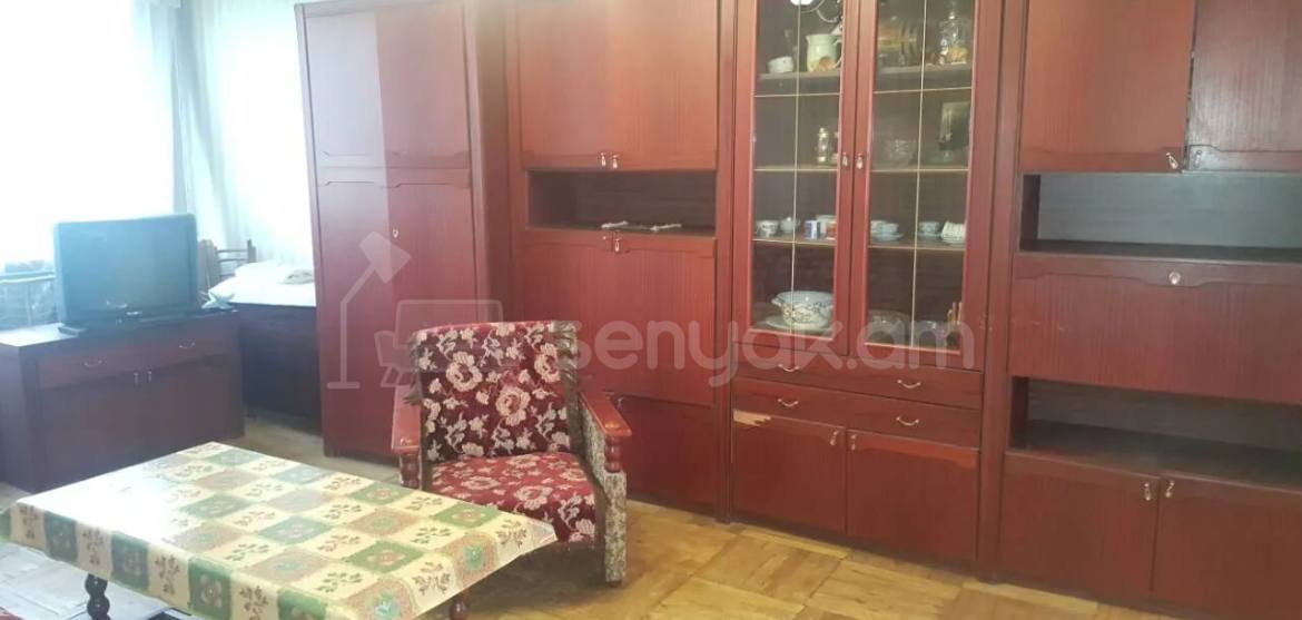 1 Սենյականոց Բնակարան Քարե Շենքում, 46քմ, 2/5 հարկ, Պետական Վիճակում, Կահավորված