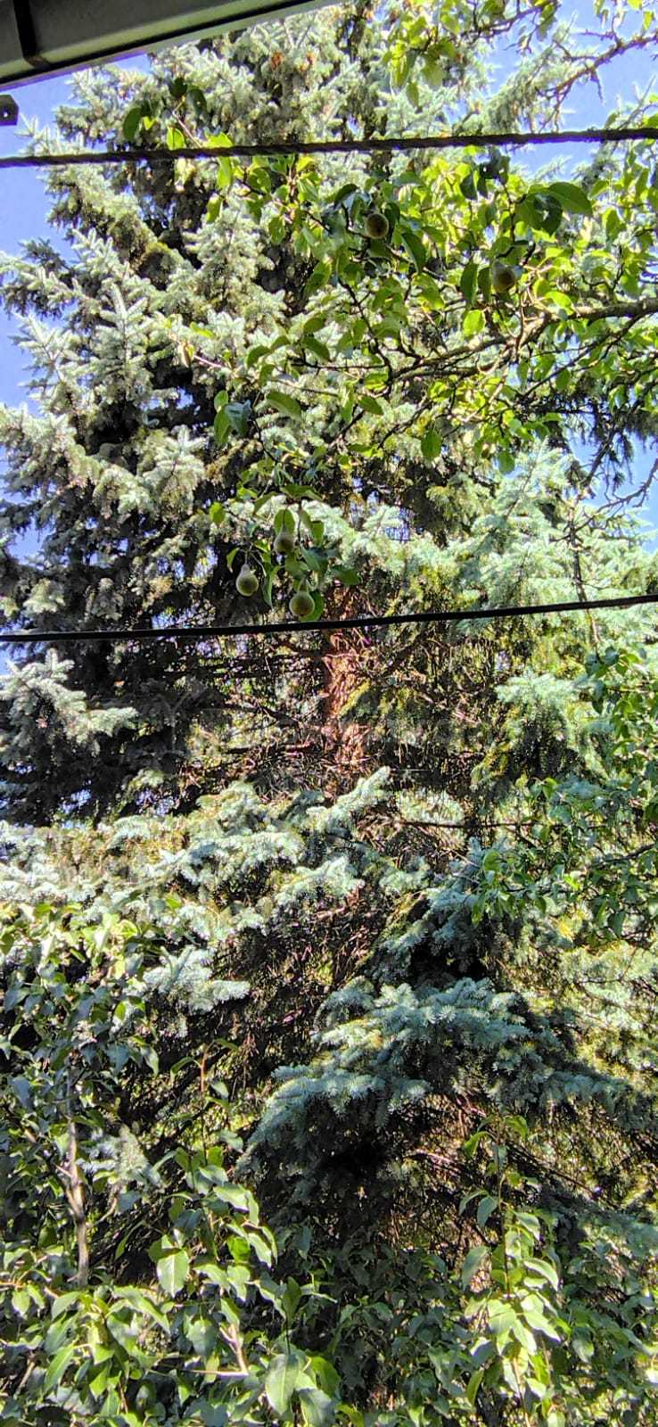 6 Սենյականոց Սեփական Տուն, 100քմ, Նորմալ Վիճակում, Ավտոտնակով