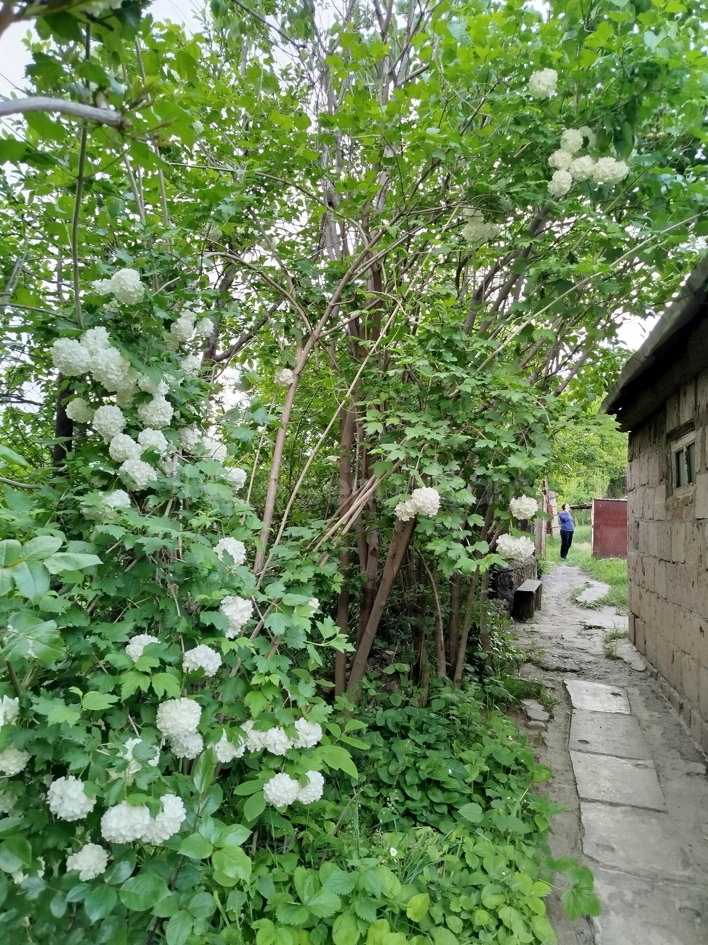 4 Սենյականոց Սեփական Տուն, 137քմ, Կոսմետիկ Վերանորոգված, Ավտոտնակով