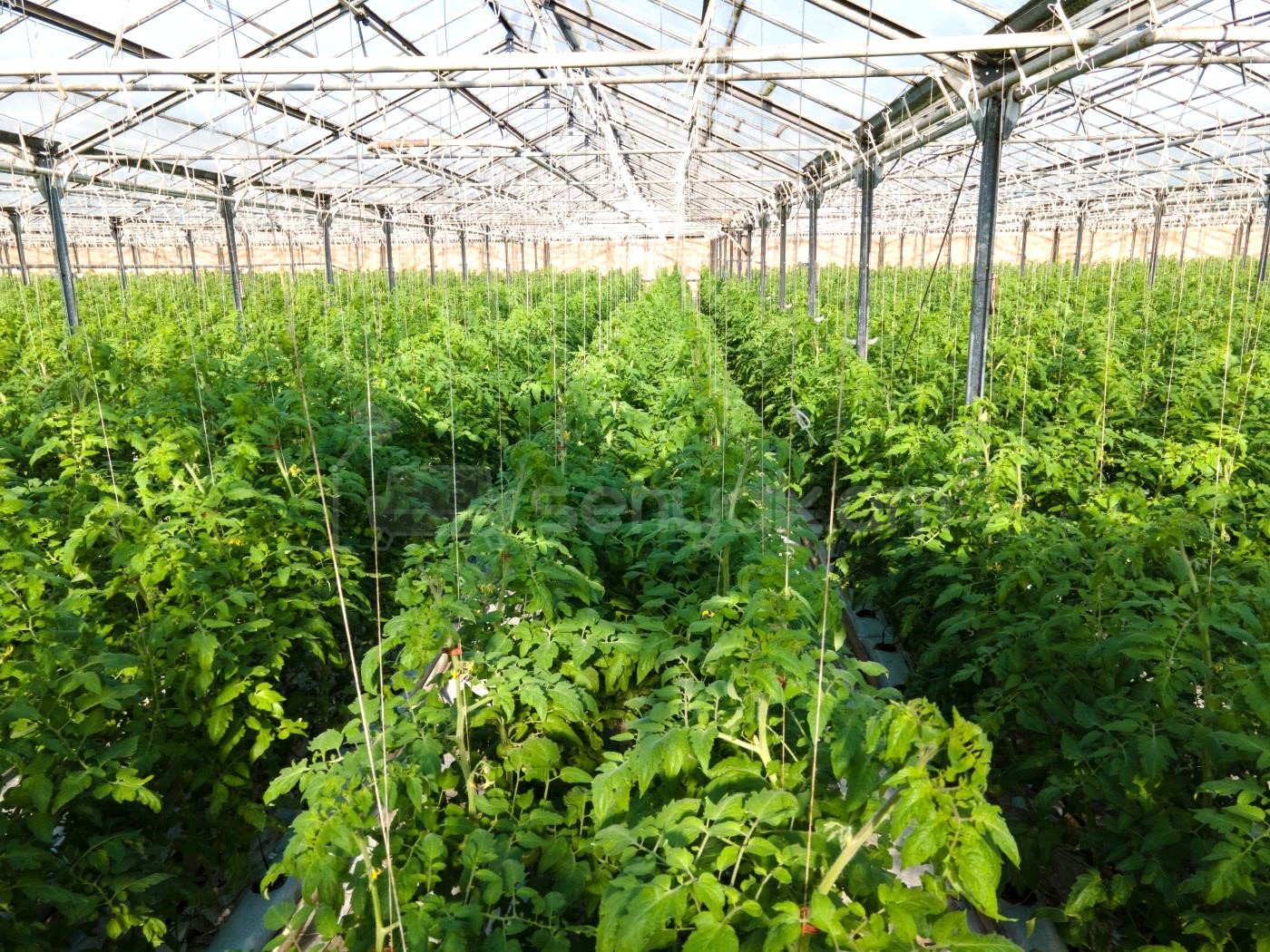 Հողամաս, 15000քմ, Ոռոգման Ջրով, Էլեկտրականությամբ
