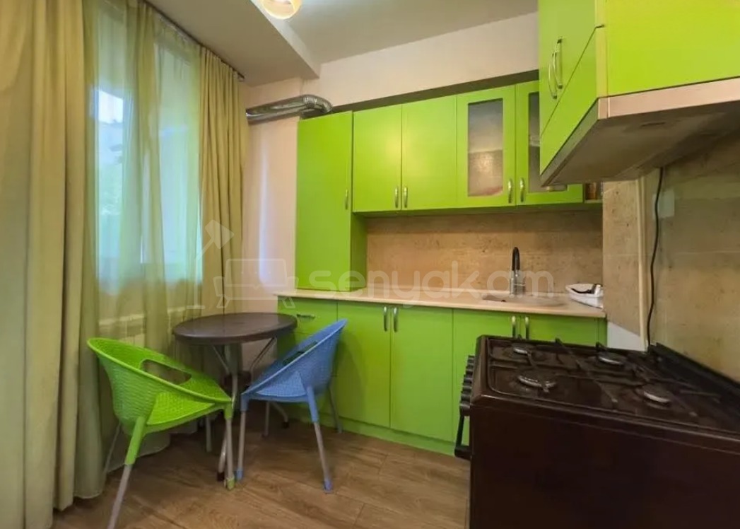 1 Սենյականոց Բնակարան, 48քմ, 4/9 հարկ, Դիզայներական Վերանորոգված