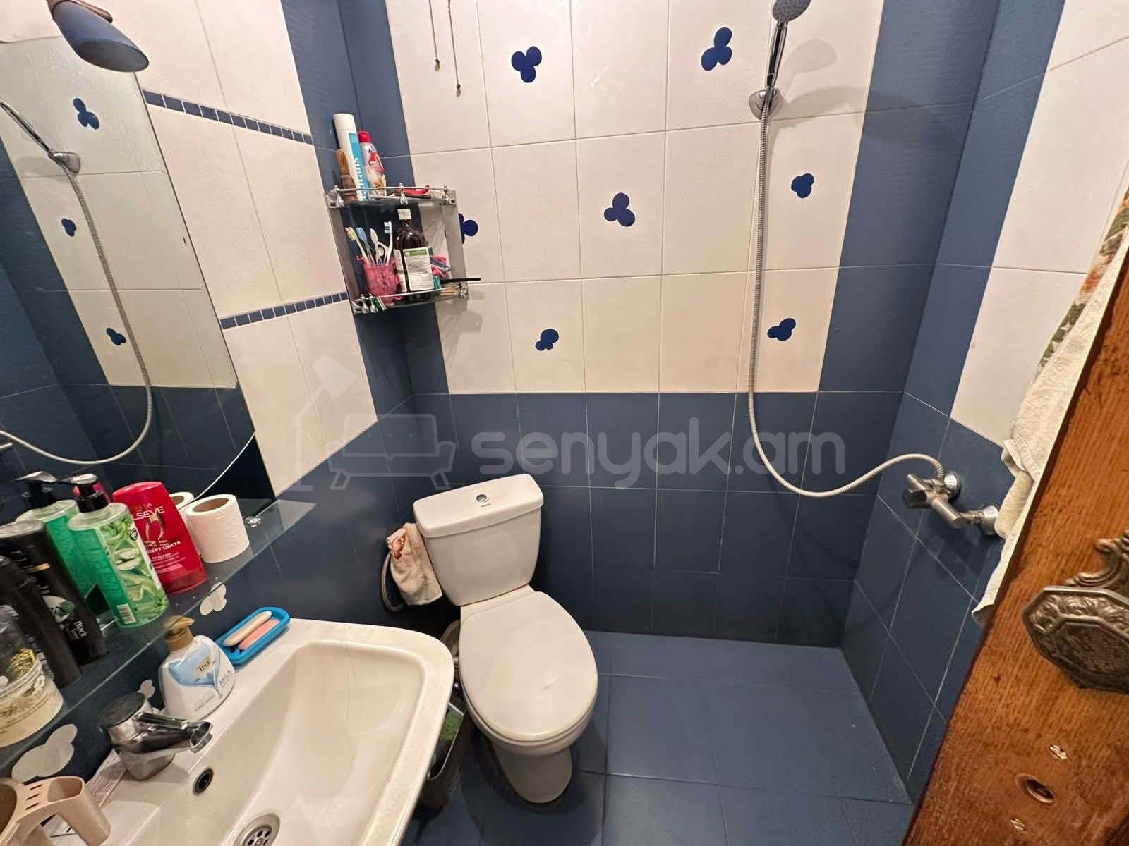 3 Սենյականոց Բնակարան, 60քմ, 8/9 հարկ, Կապիտալ Վերանորոգված