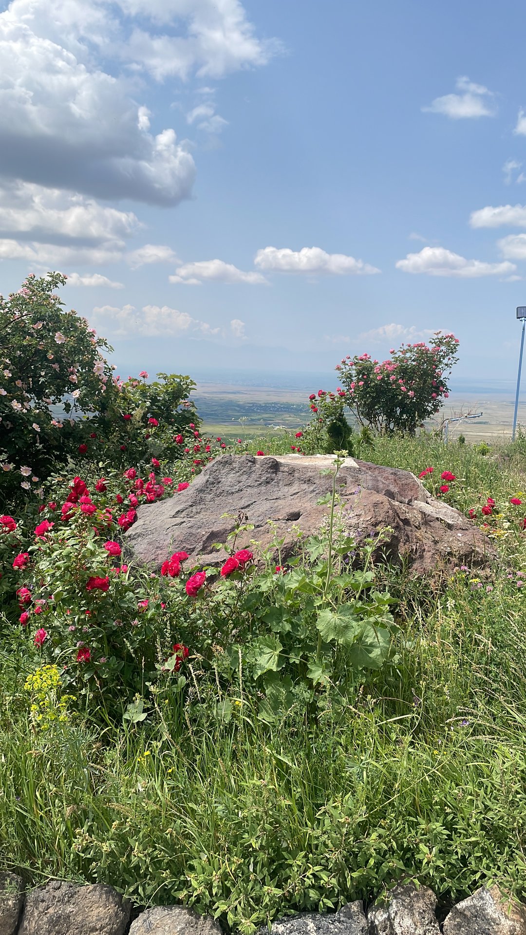 8 Սենյականոց Շքեղ Առանձնատուն, 1048քմ, Լողավազանով