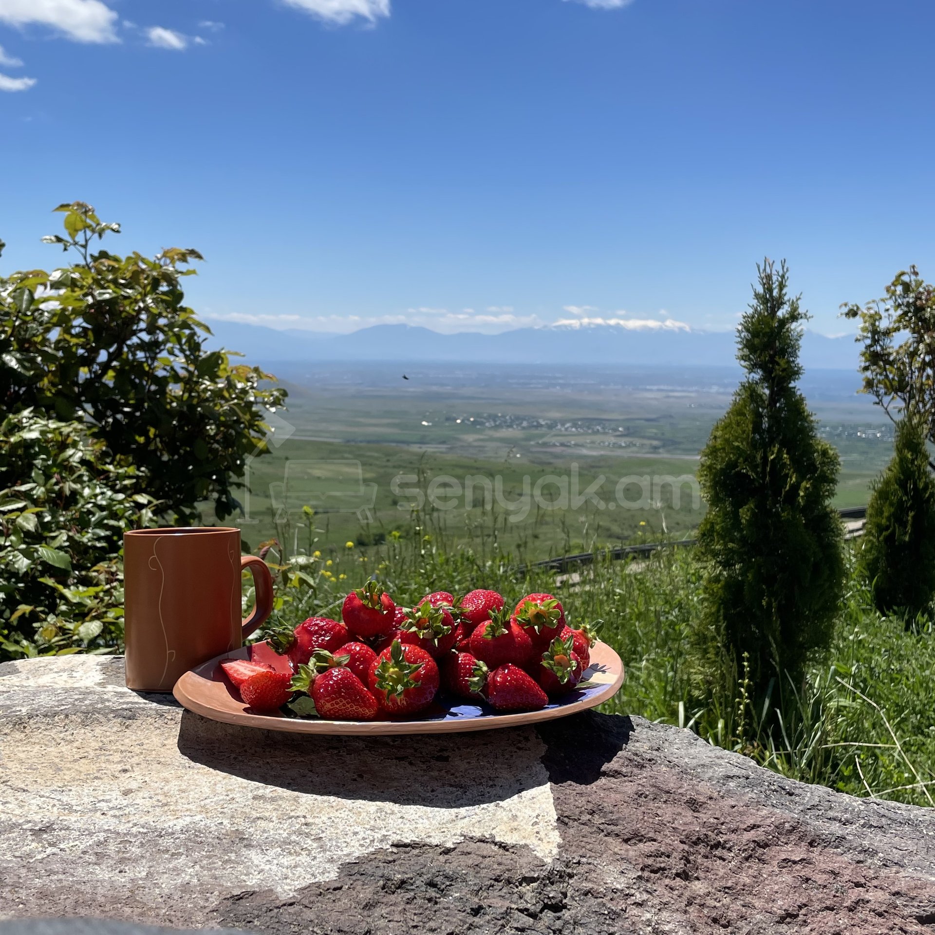 8 Սենյականոց Շքեղ Առանձնատուն, 1048քմ, Լողավազանով