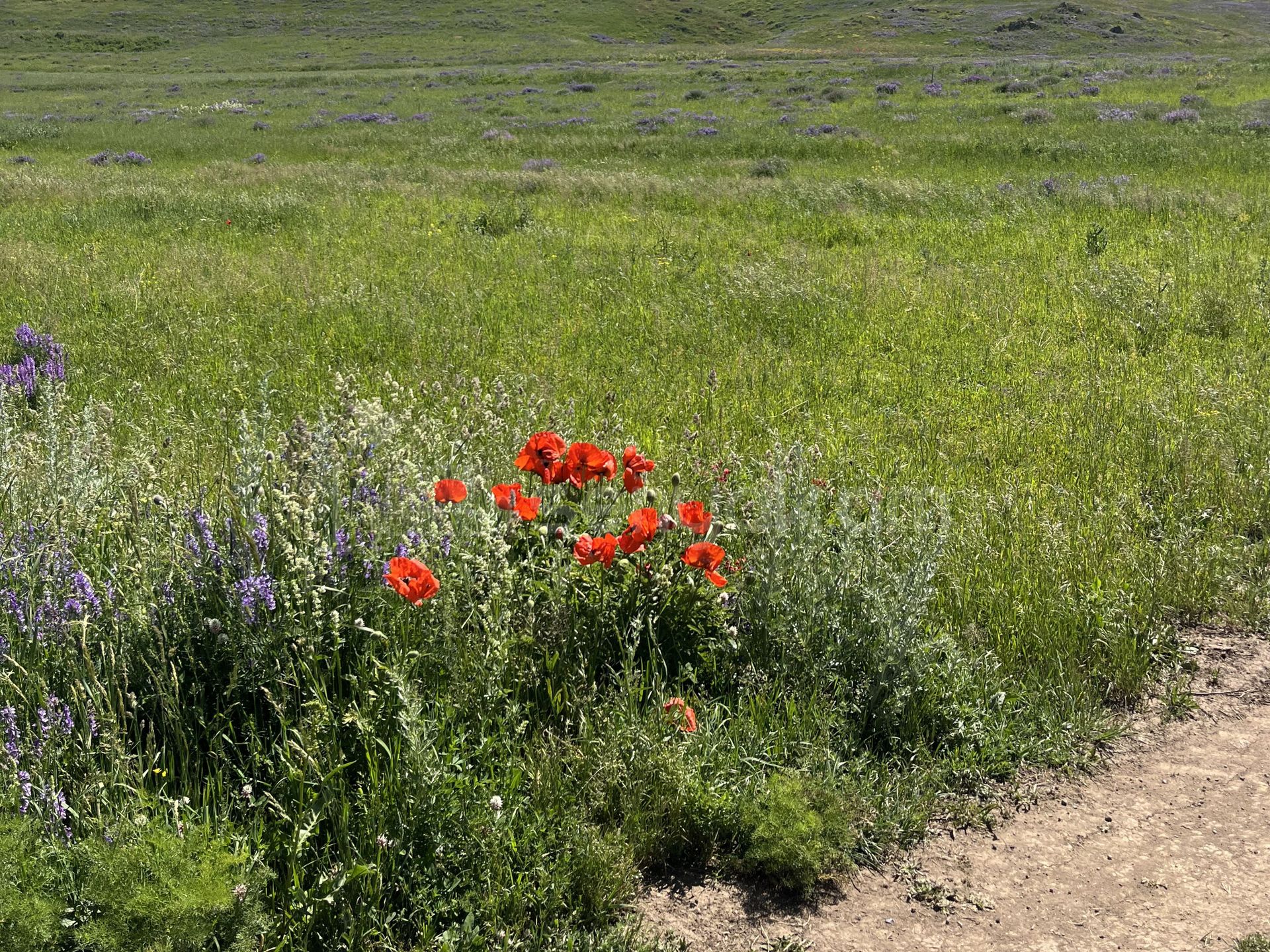 Բնակելի Նշանակության Հողատարածք, 1200քմ