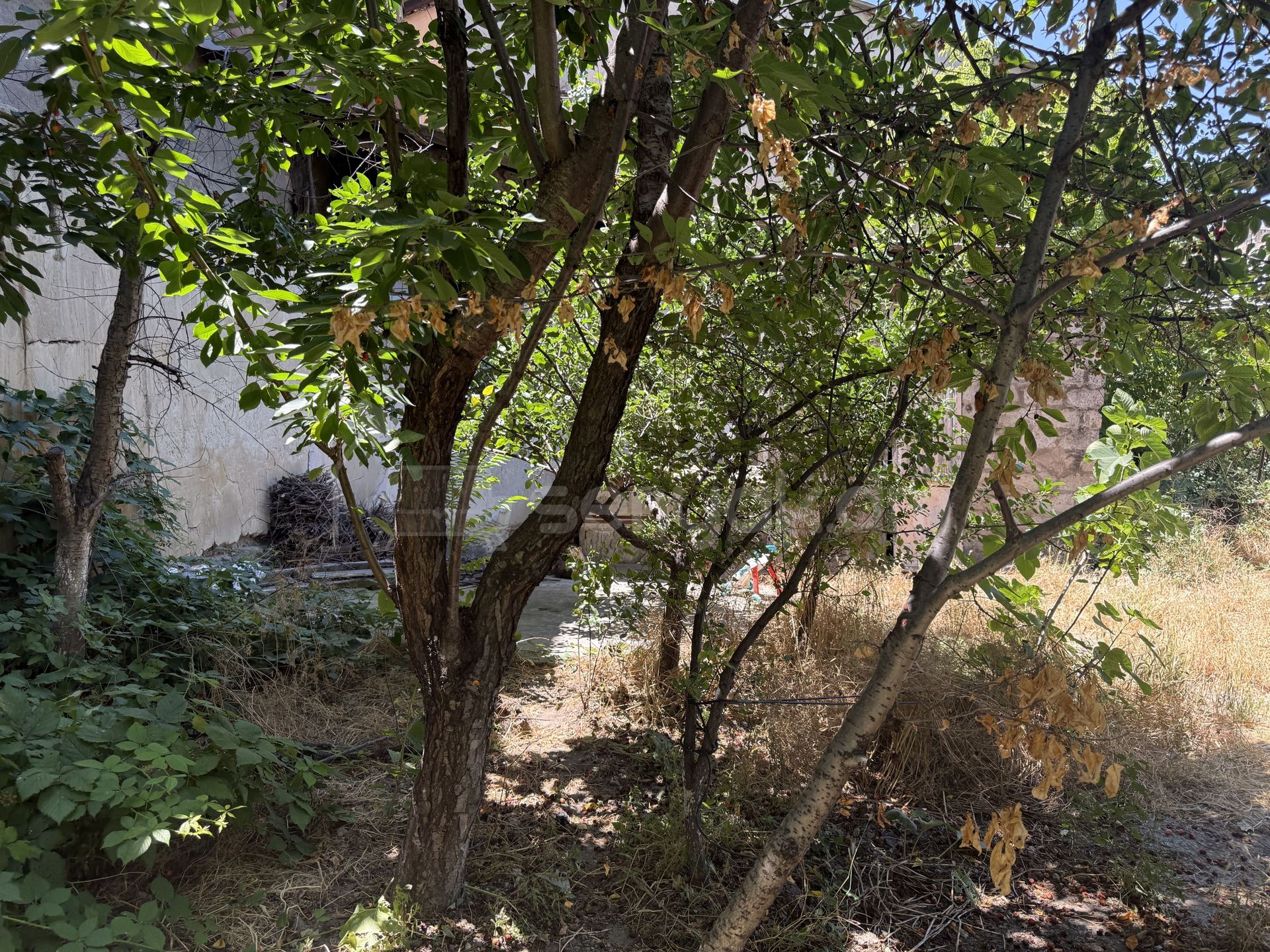 5 Սենյականոց Սեփական Տուն, 115քմ, Նորմալ Վիճակում, Ավտոտնակով