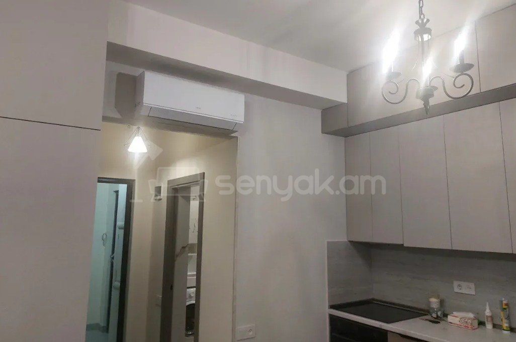 2 Սենյականոց Բնակարան Նորակառույցում, 48քմ, 4/8 հարկ, Կապիտալ Վերանորոգված, Կահավորված, Արևկող