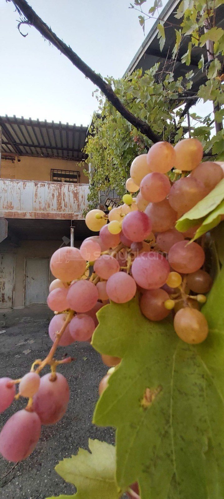 5 Սենյականոց Ամառանոց, 500քմ, Լողավազանով, Ավտոտնակով