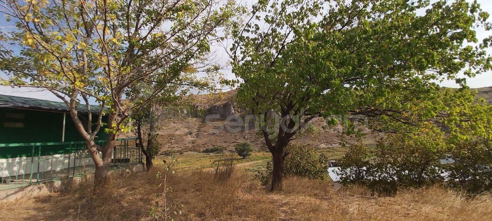 5 Սենյականոց Ամառանոց, 500քմ, Լողավազանով, Ավտոտնակով