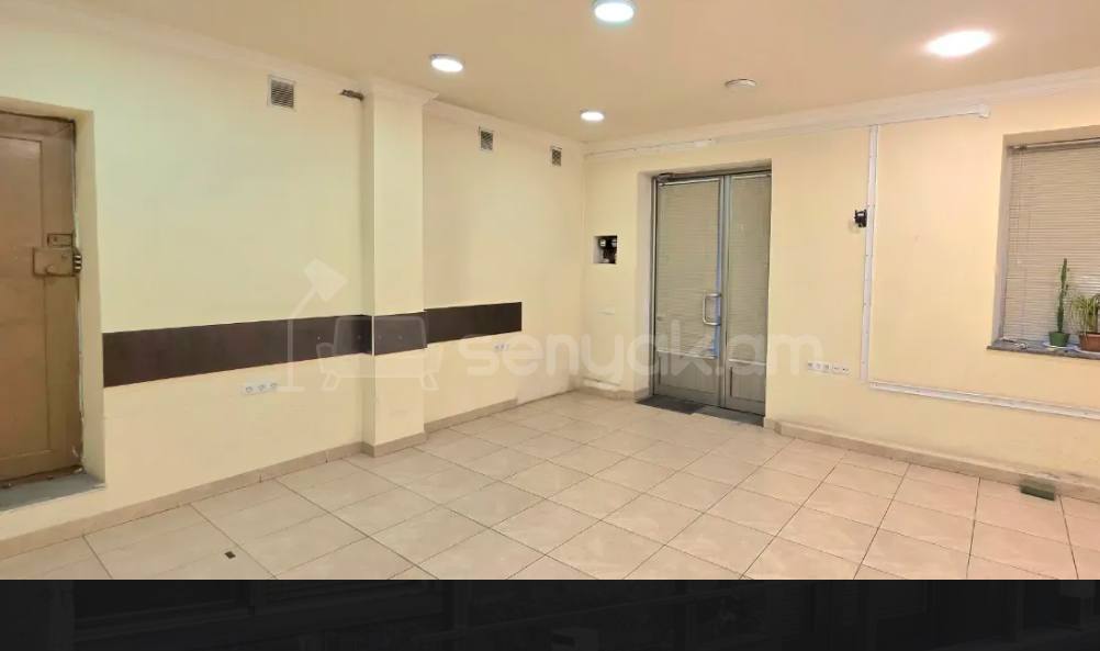 Օֆիսային Տարածք, 100քմ, Կապիտալ Վերանորոգված