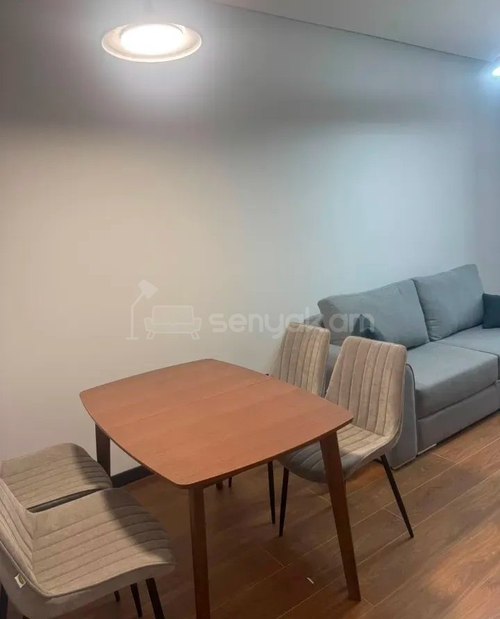 2 Սենյականոց Բնակարան Քարե Շենքում, 44քմ, 2/4 հարկ, Դիզայներական Վերանորոգված