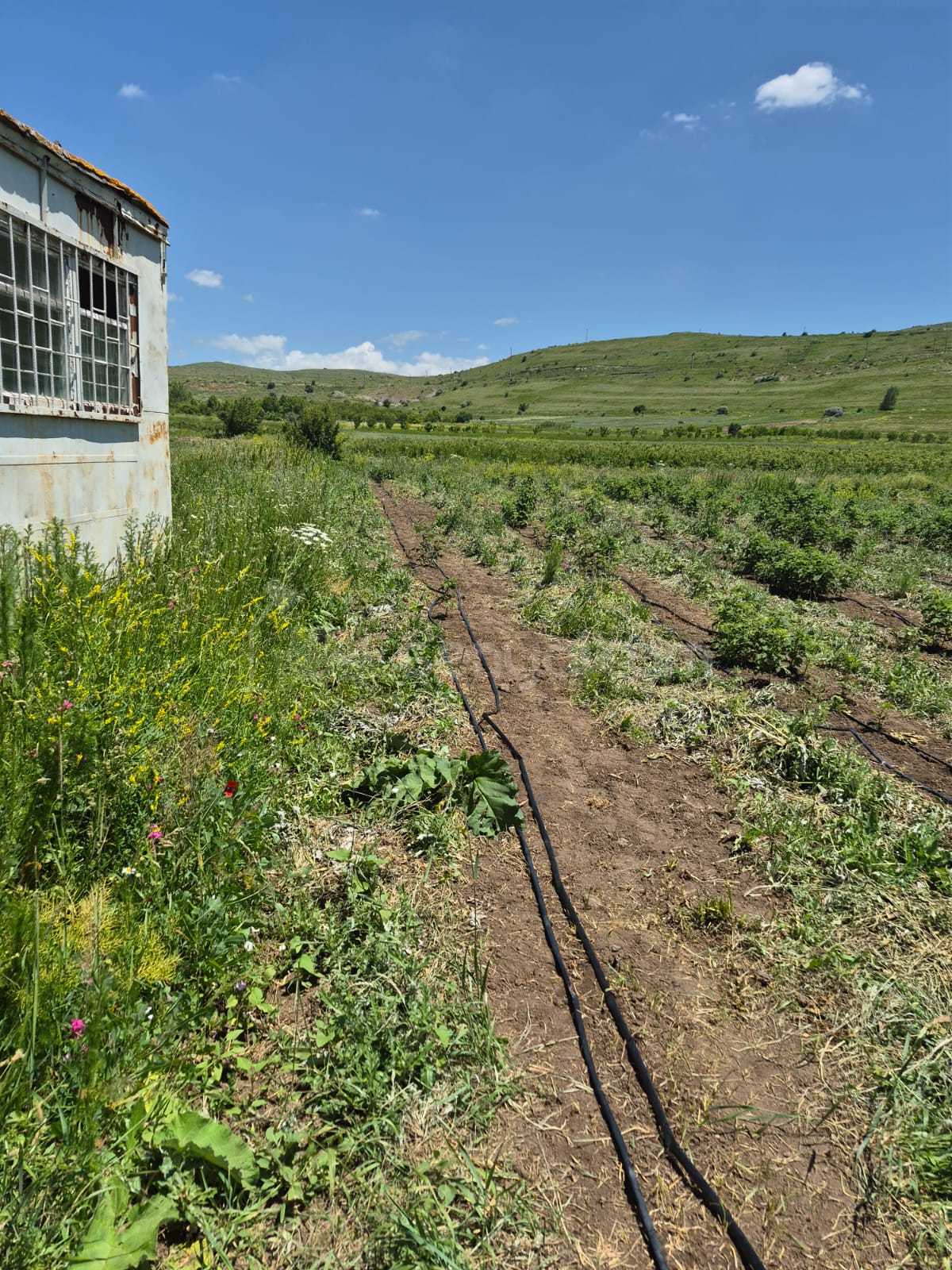 Հողատարածք, 3508քմ, Ոռոգման Ջրով