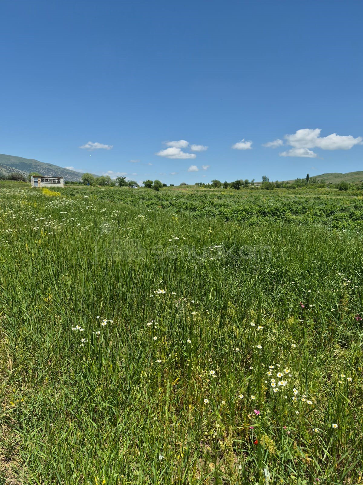 Հողատարածք, 3508քմ, Ոռոգման Ջրով