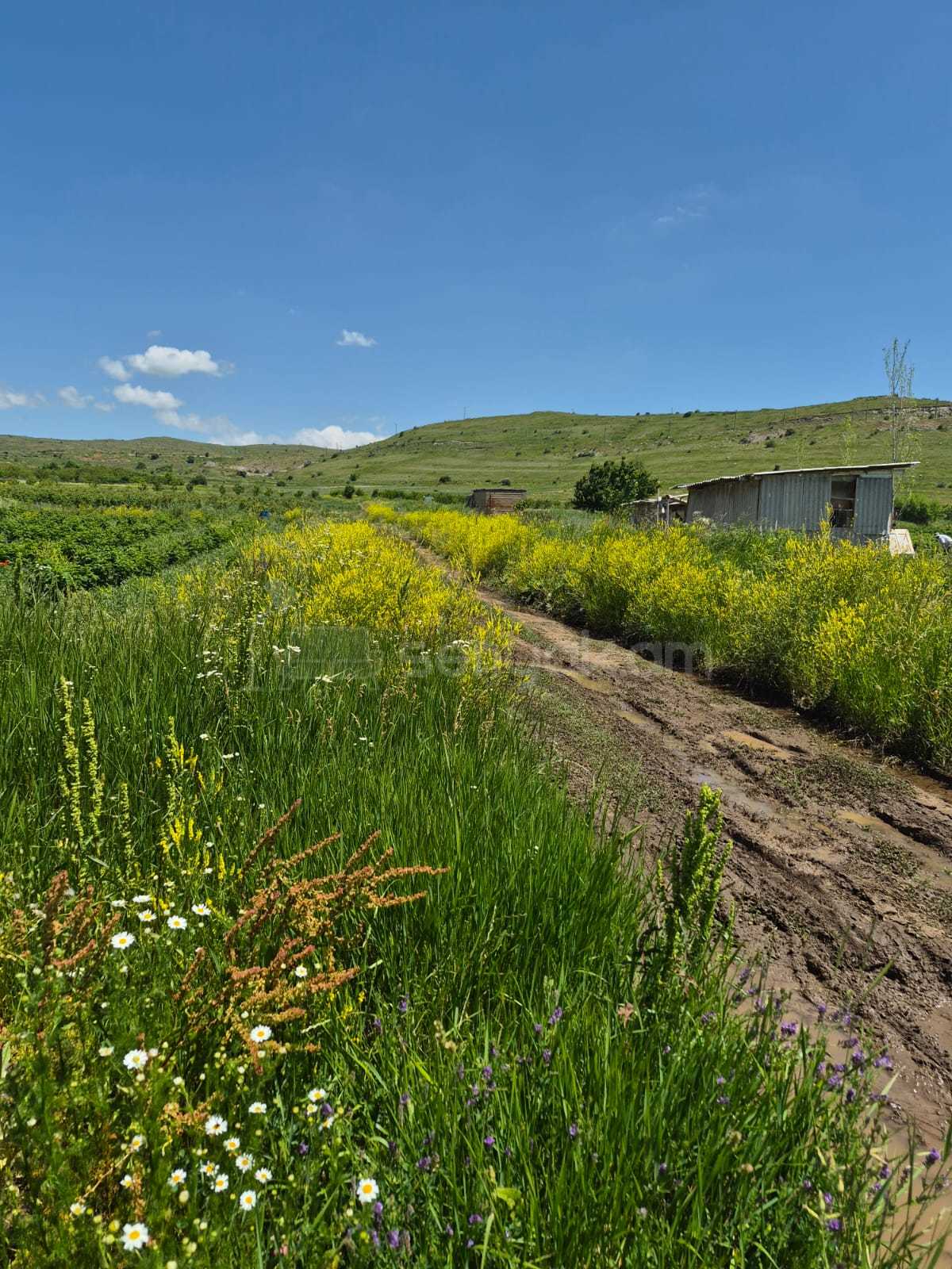 Հողատարածք, 3508քմ, Ոռոգման Ջրով