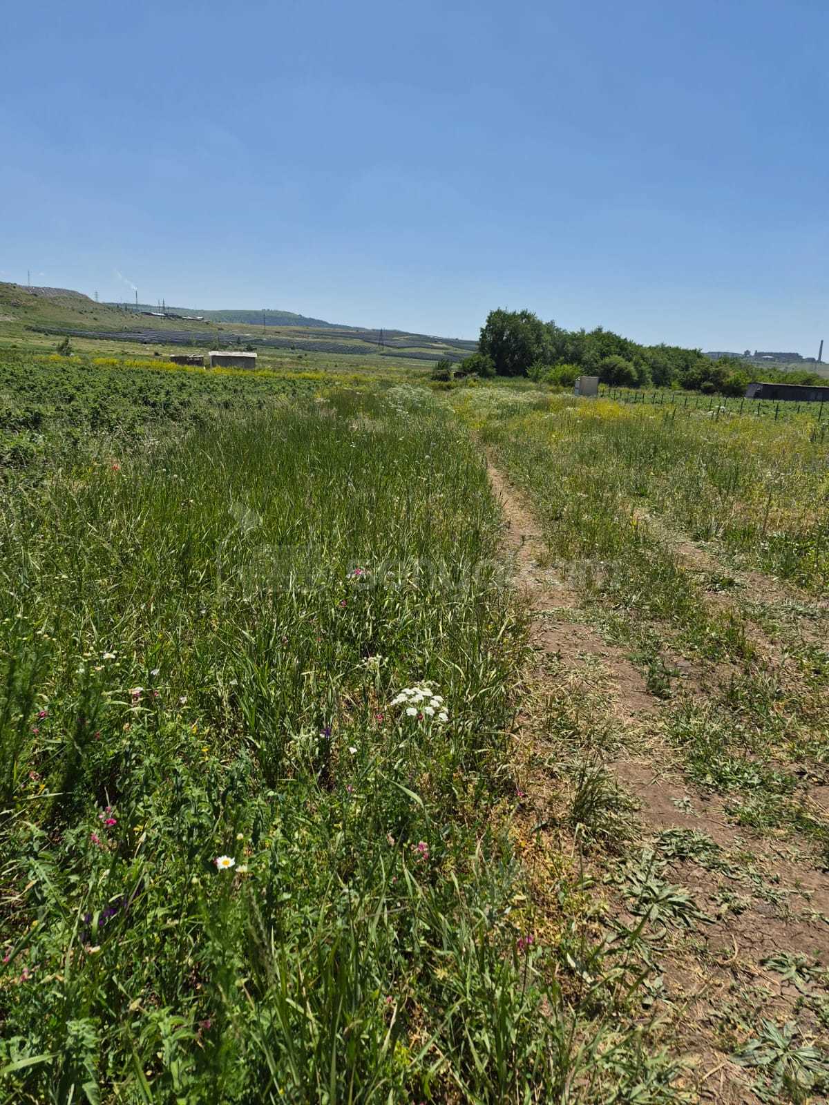 Հողատարածք, 3508քմ, Ոռոգման Ջրով