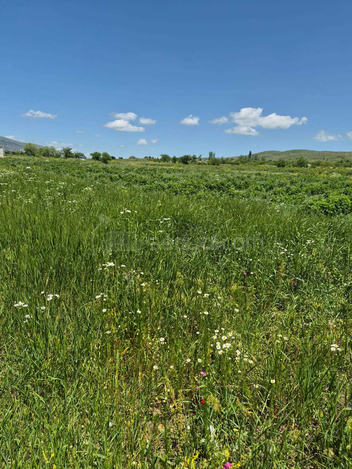 Հողատարածք, 3508քմ, Ոռոգման Ջրով