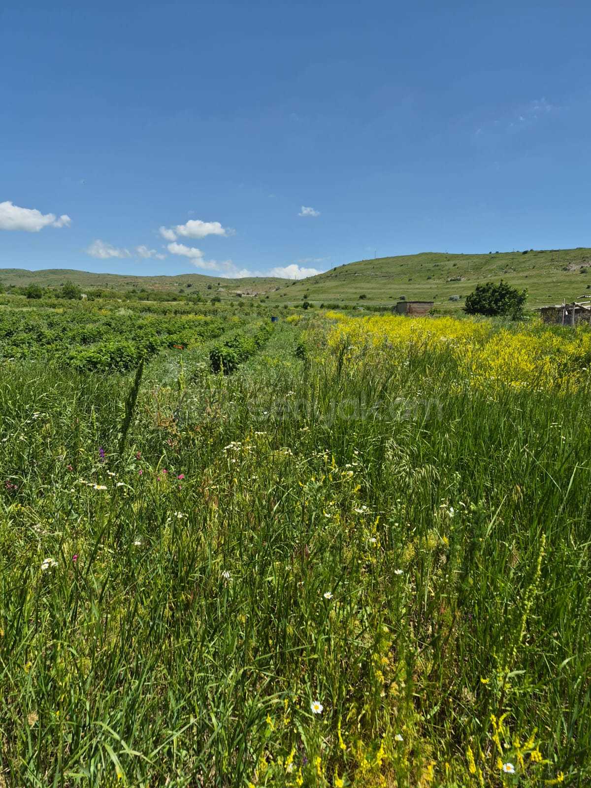 Հողատարածք, 3508քմ, Ոռոգման Ջրով