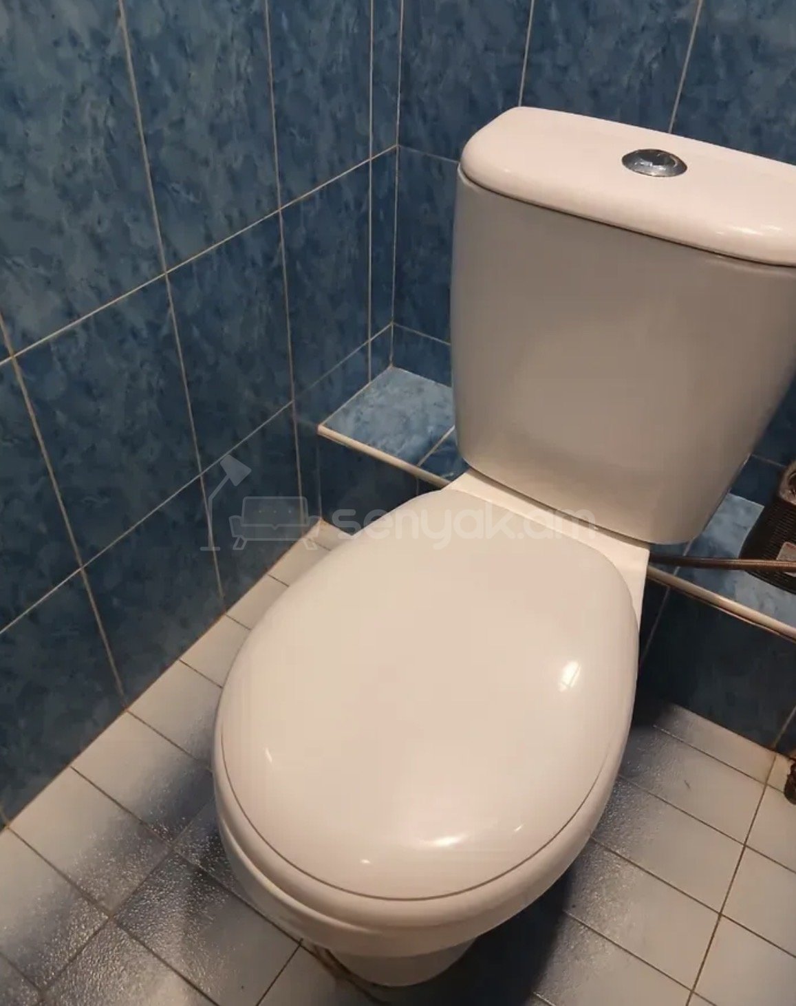 3 Սենյականոց Բնակարան, 110քմ, 6/9 հարկ, Նորմալ Վիճակում