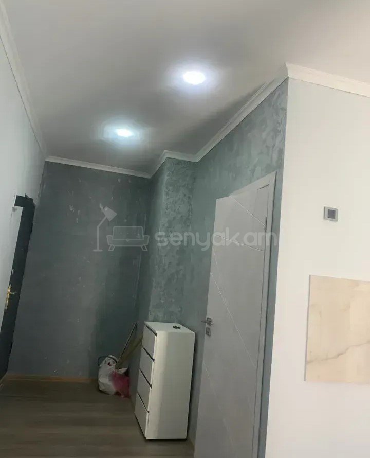 2 Սենյականոց Բնակարան, 28քմ, 4/4 հարկ, Կապիտալ Վերանորոգված