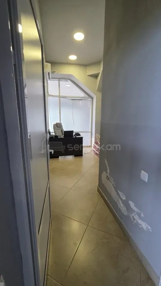 Օֆիսային Տարածք, 150քմ, Կապիտալ Վերանորոգված