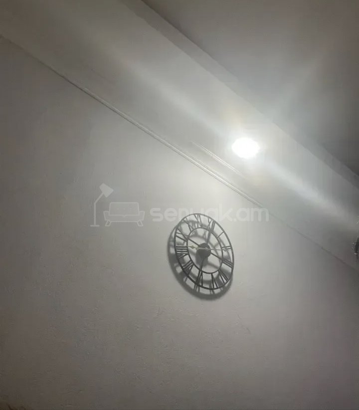 1 Սենյականոց Բնակարան Քարե Շենքում, 40քմ, 1/1 հարկ, Նորմալ Վիճակում, Կահավորված