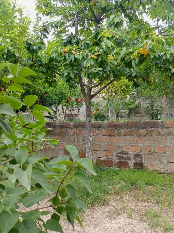 3 Սենյականոց Սեփական Տուն, 110քմ, Կոսմետիկ Վերանորոգված, Ավտոտնակով