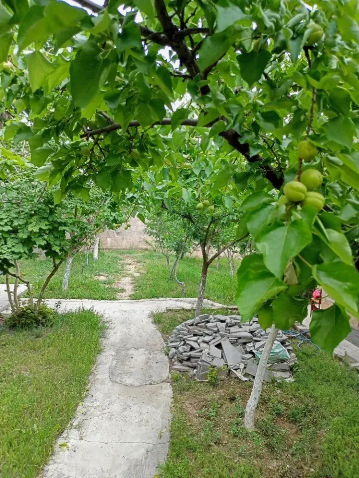 3 Սենյականոց Սեփական Տուն, 110քմ, Կոսմետիկ Վերանորոգված, Ավտոտնակով