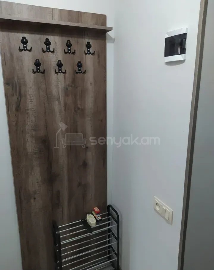 1 Սենյականոց Բնակարան Քարե Շենքում, 31քմ, 3/5 հարկ, Կապիտալ Վերանորոգված, Կահավորված