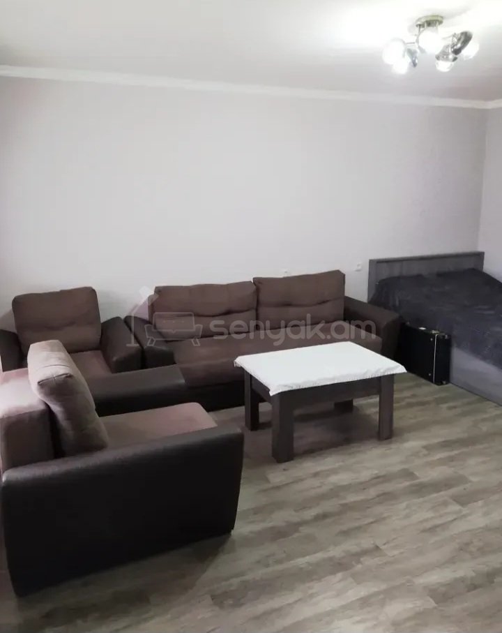 1 Սենյականոց Բնակարան Քարե Շենքում, 31քմ, 3/5 հարկ, Կապիտալ Վերանորոգված, Կահավորված