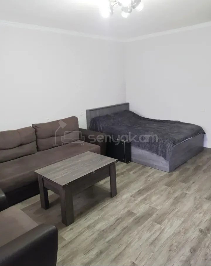 1 Սենյականոց Բնակարան Քարե Շենքում, 31քմ, 3/5 հարկ, Կապիտալ Վերանորոգված, Կահավորված