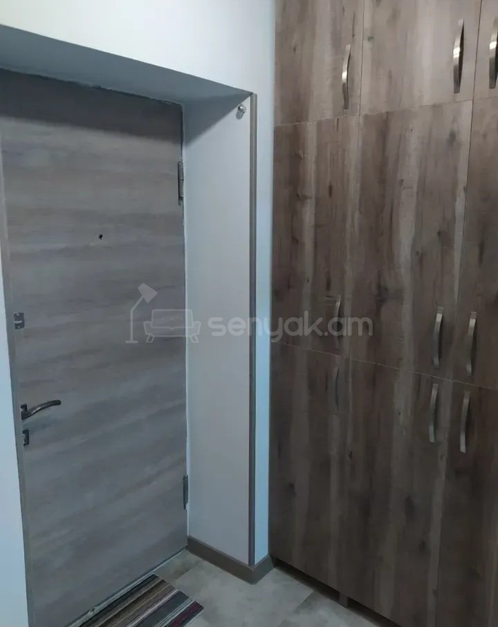 1 Սենյականոց Բնակարան Քարե Շենքում, 31քմ, 3/5 հարկ, Կապիտալ Վերանորոգված, Կահավորված