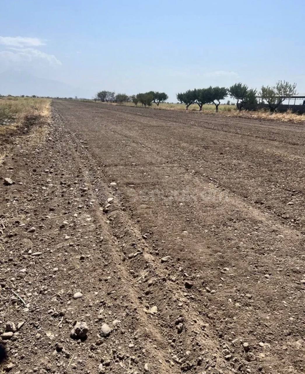 Հողամաս, 9600քմ, Ոռոգման Ջրով, Էլեկտրականությամբ